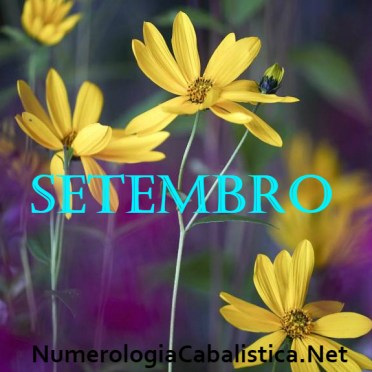 1506081483_947640_1506096528_noticia_normal